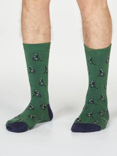 Socken Ashton Bicycle