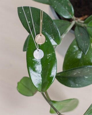 Kette Medium Shell