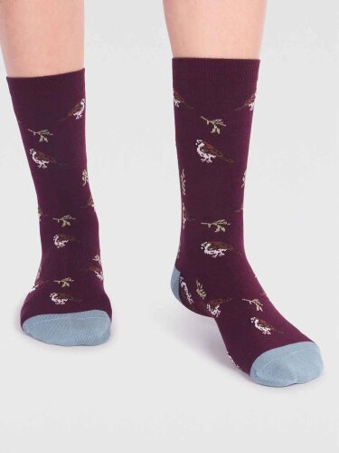 Socken Modell: Eden Bamboo Bird