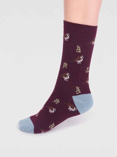Socken Modell: Eden Bamboo Bird