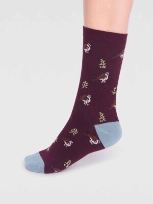 Socken Modell: Eden Bamboo Bird