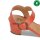 Riemchen-Sandalette Modell: Zinnia