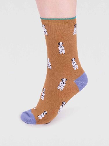 Socken Modell: Kenna Bamboo Dog