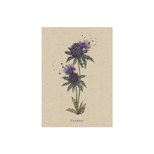 Postkarte Distel