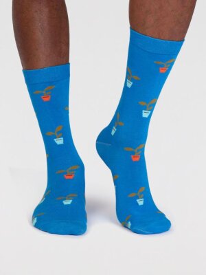 Sockenbox Modell: Norman GOTS, 4er-Pack