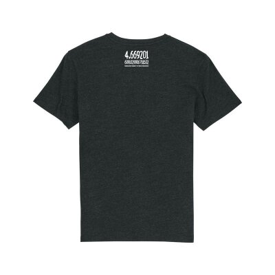 Mathematik T-Shirt Bifurkation